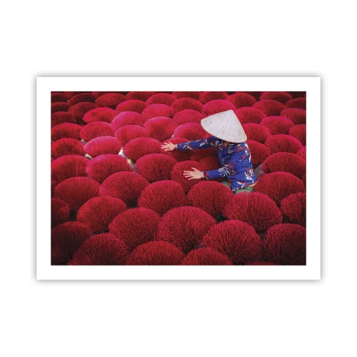 Poster - In the Rice Field - 70x50 cm