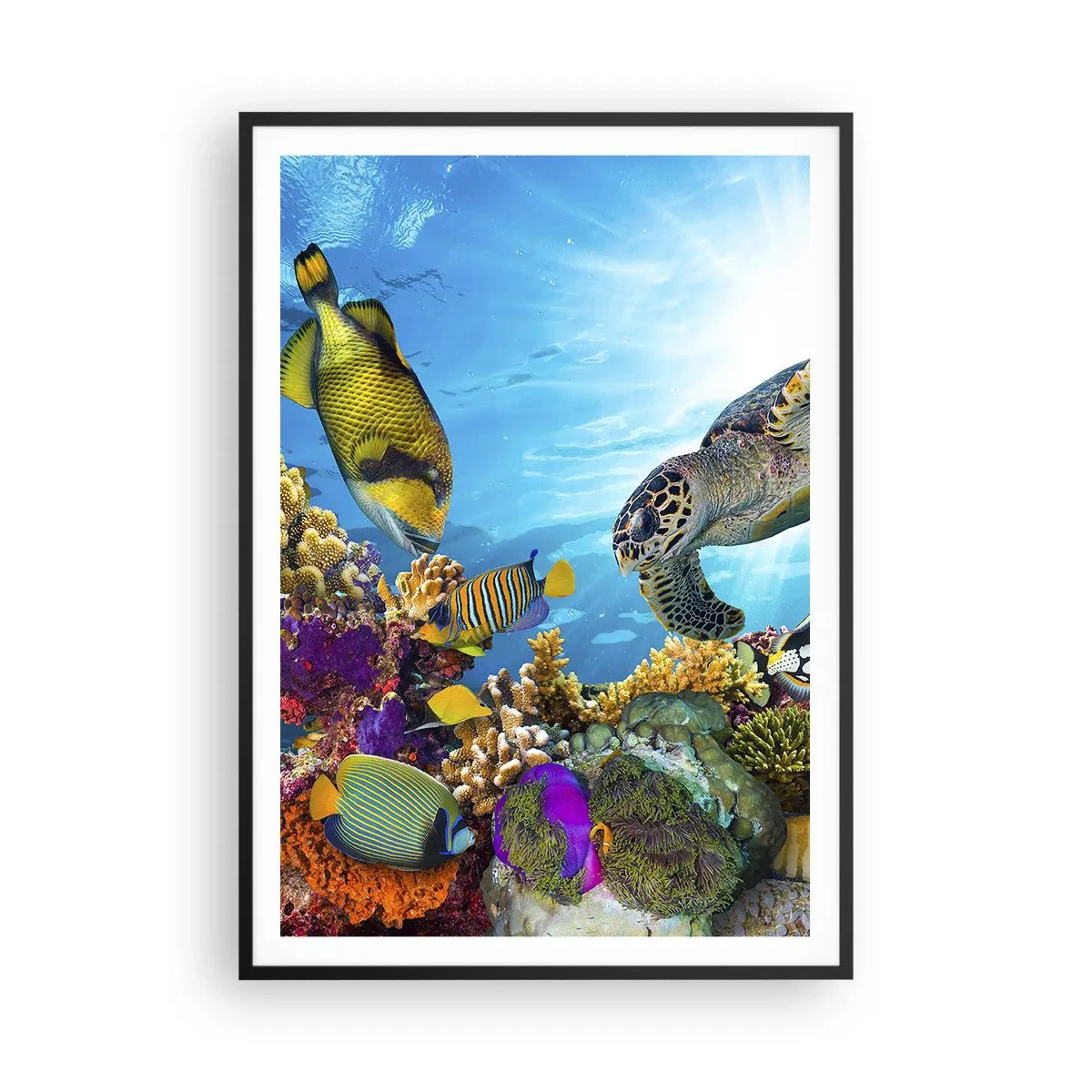 Poster in black frame - Coral Promenade - 70x100 cm