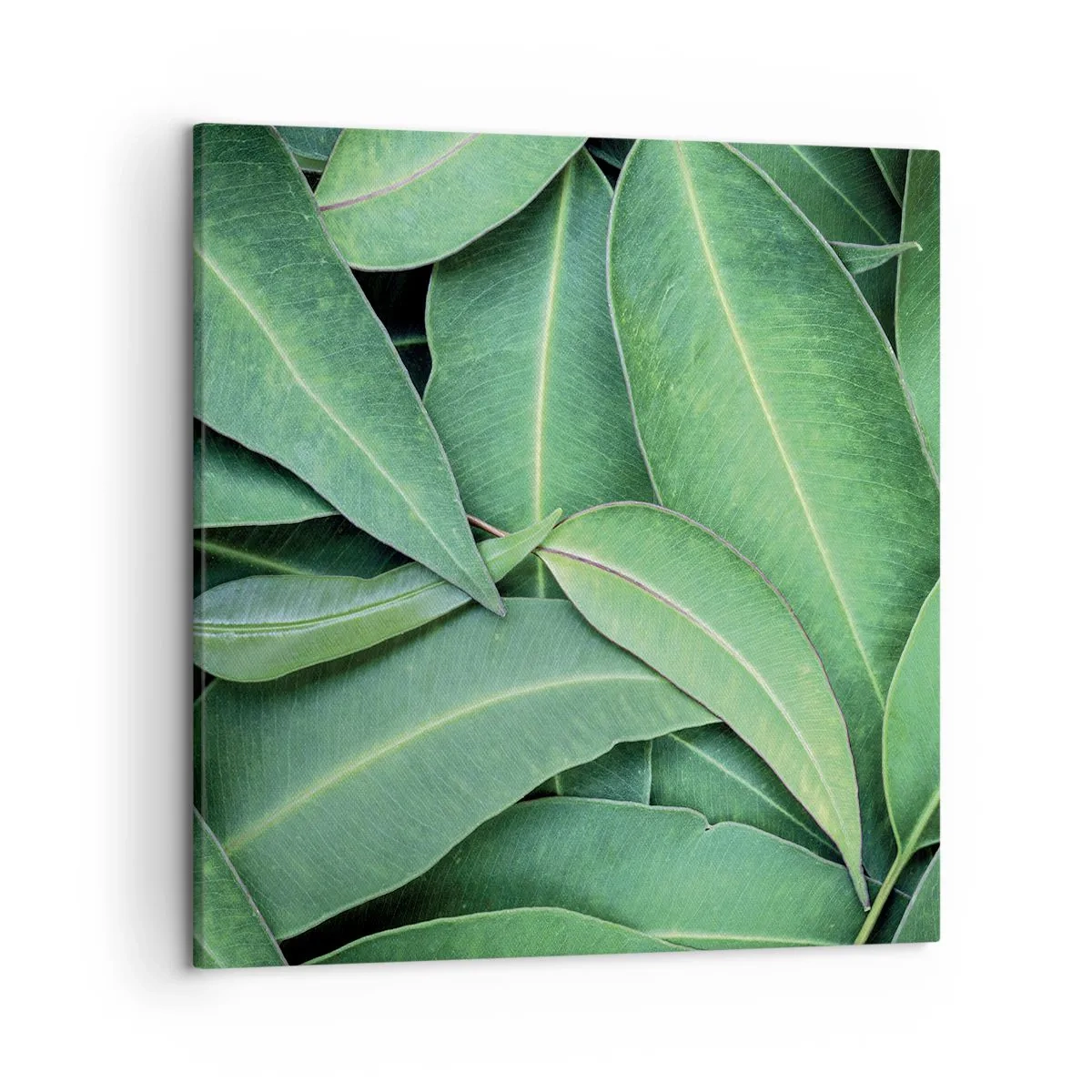 Canvas picture - Juicy and Fresh - 50x50 cm