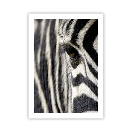 Poster - Striped Portrait - 50x70 cm