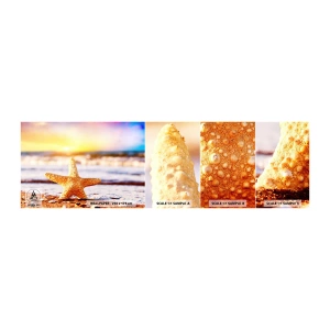 Photo Wallpaper Sample Standard Eco - Sea Kiss - Starfish, Beach, Ocean - 100x30 cm
