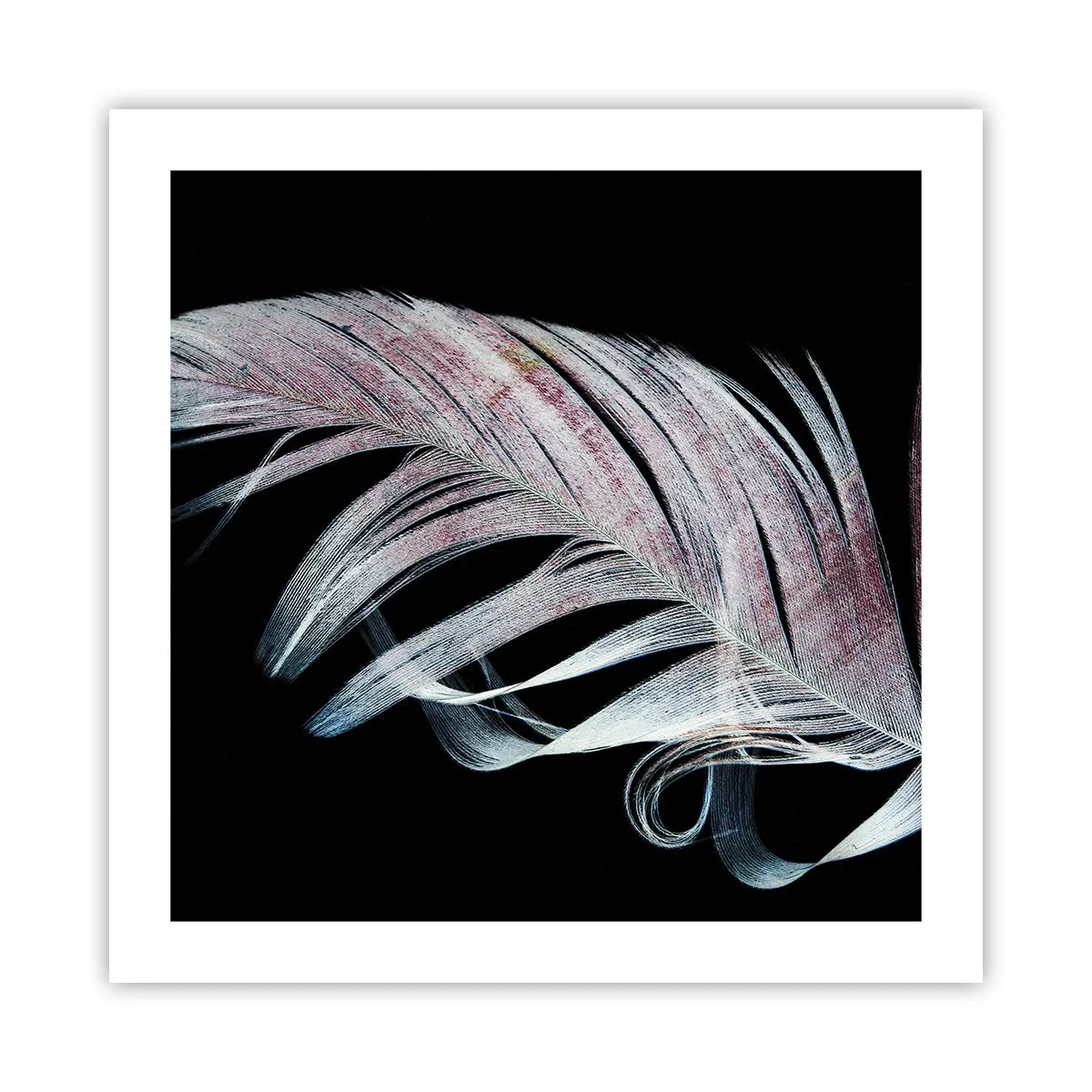 Poster - Think about Touch - 50x50 cm