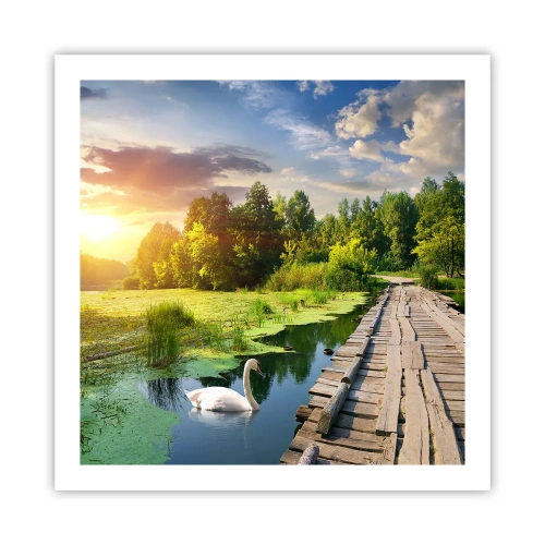 Poster - Summer Everywhere - 60x60 cm