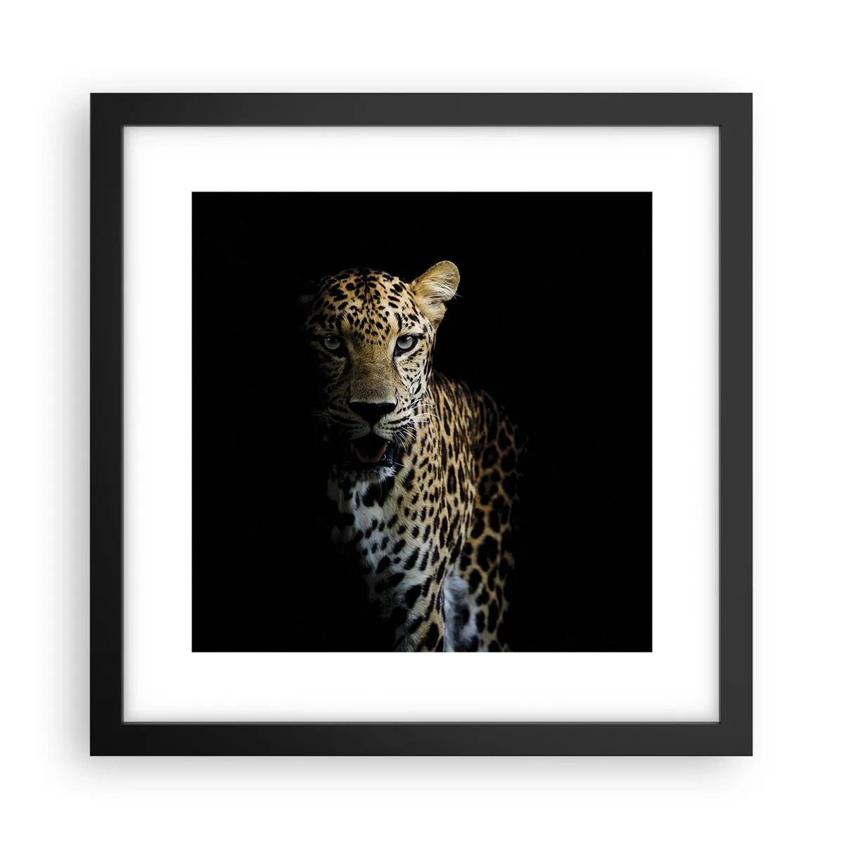 Poster in black frame - Dark Beauty - 30x30 cm