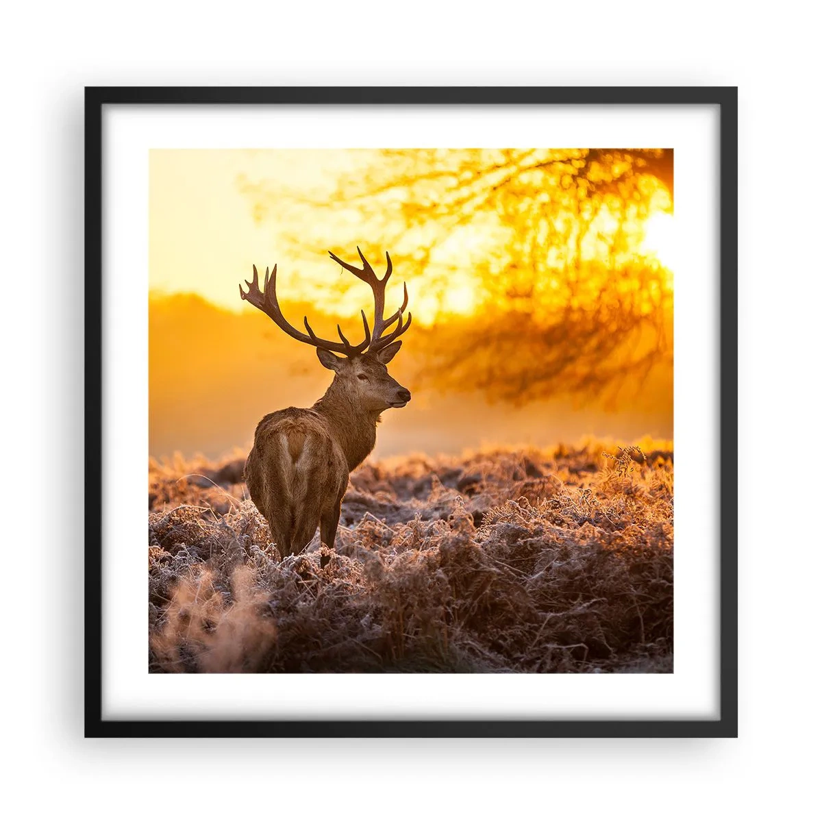 Poster in black frame - King of Autumnal Forest - 50x50 cm
