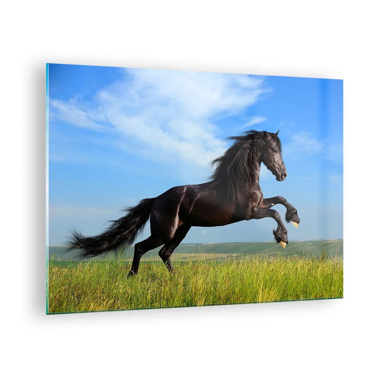 Glass picture - A black horse galloping against a blue sky and a green meadow. - 70x50cm - Thrilling Manifesto of Freedom - Modern wall decoration for the living room and bedroom ARTTOR