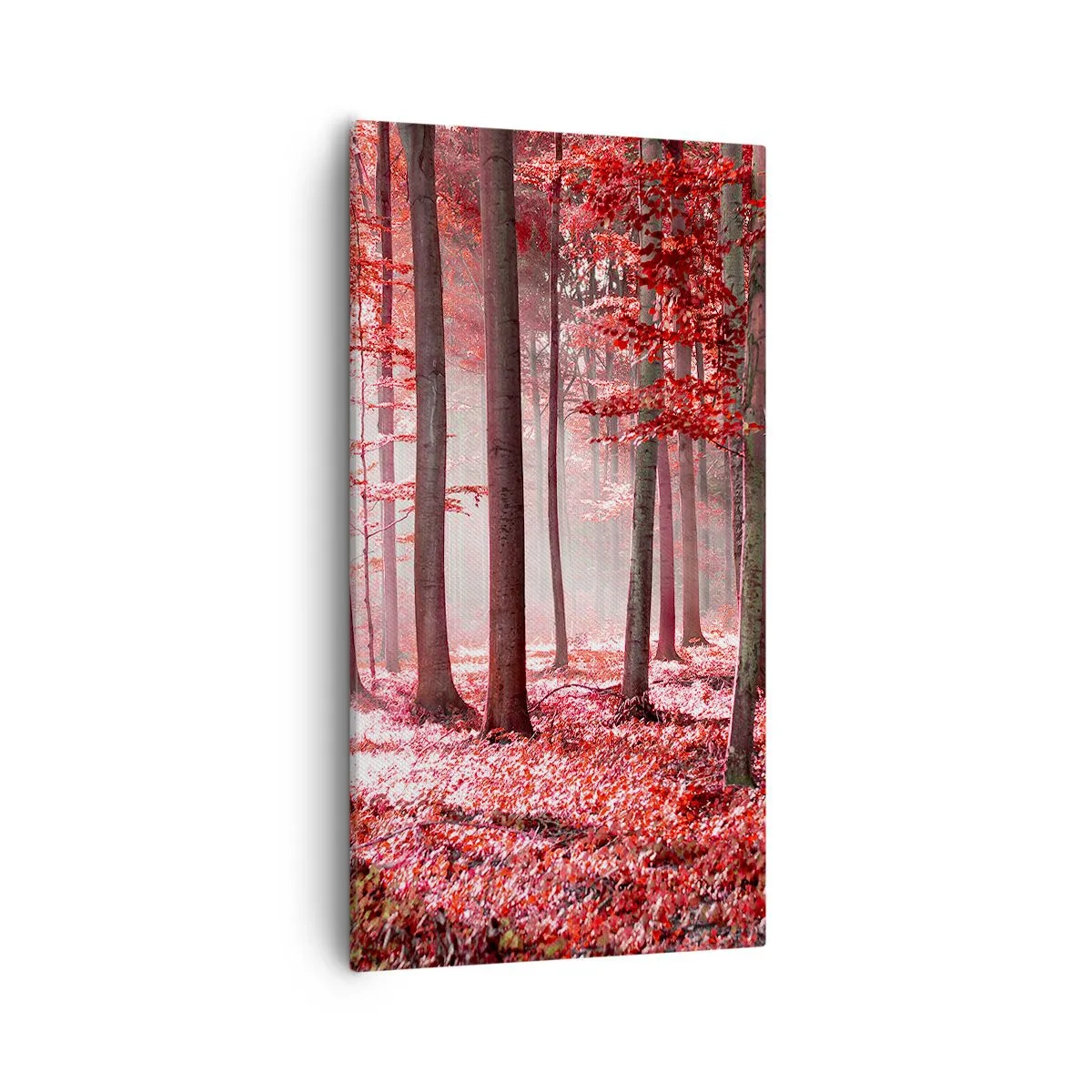 Canvas picture - Red Equally Beautiful - 55x100 cm
