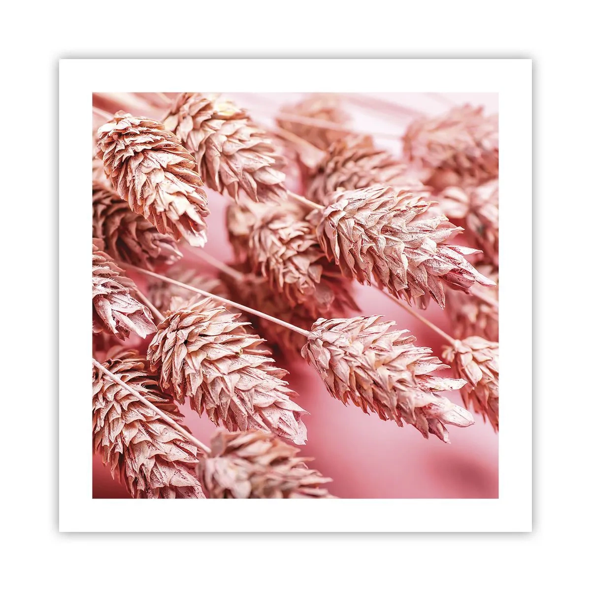 Poster - Flowery Cascade in Pink - 50x50 cm
