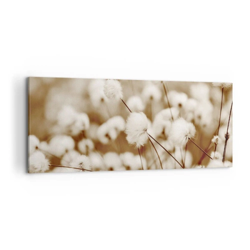 Canvas picture - Fluffy field - 120x50 cm