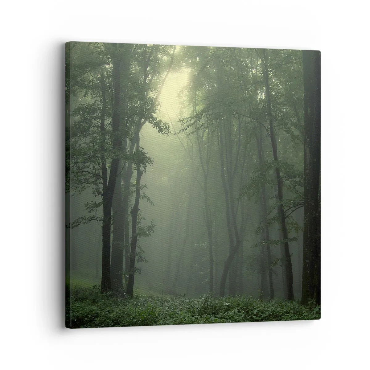 Canvas picture - Before It Wakes Up - 30x30 cm
