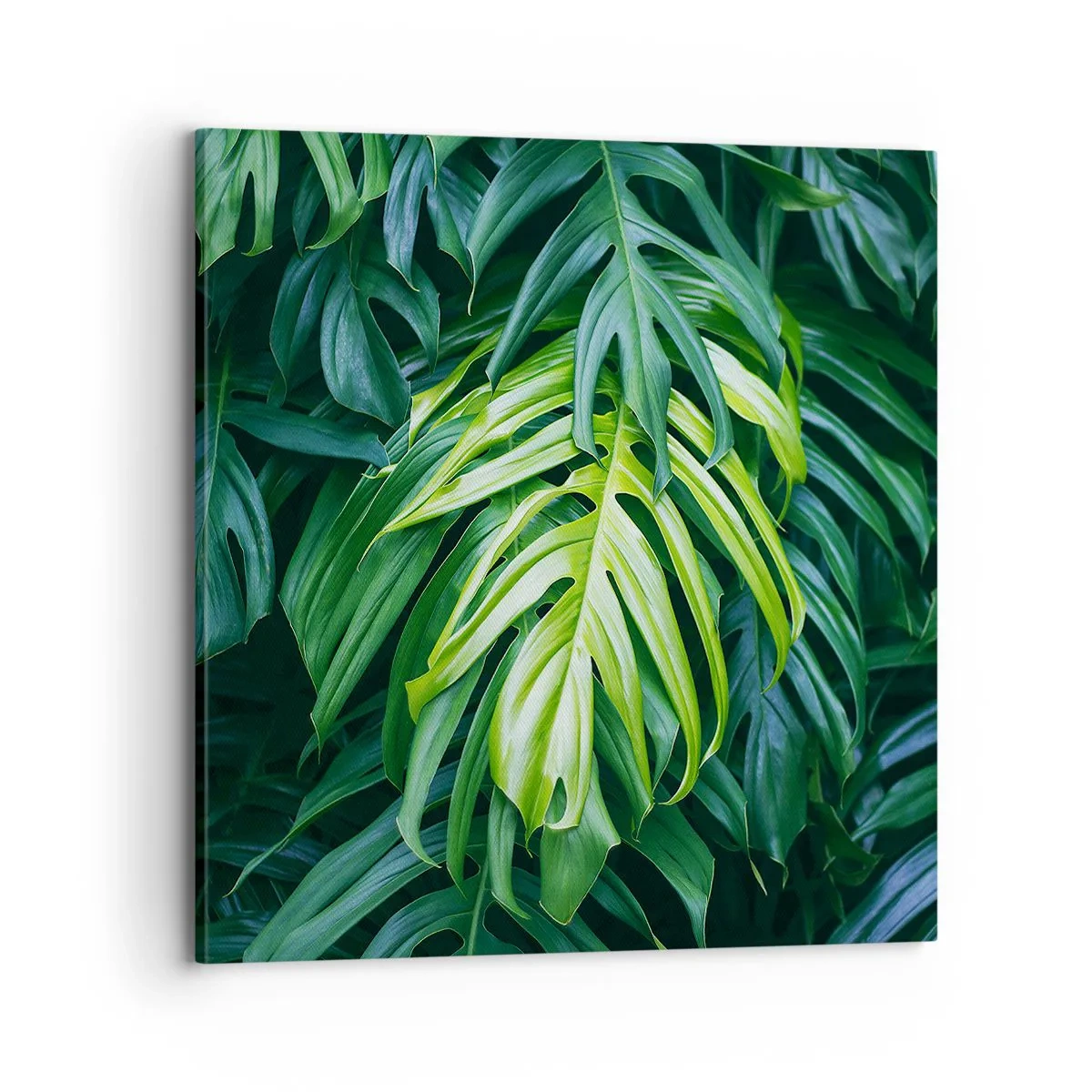 Canvas picture - Immerse Yourself in Freshness - 70x70 cm