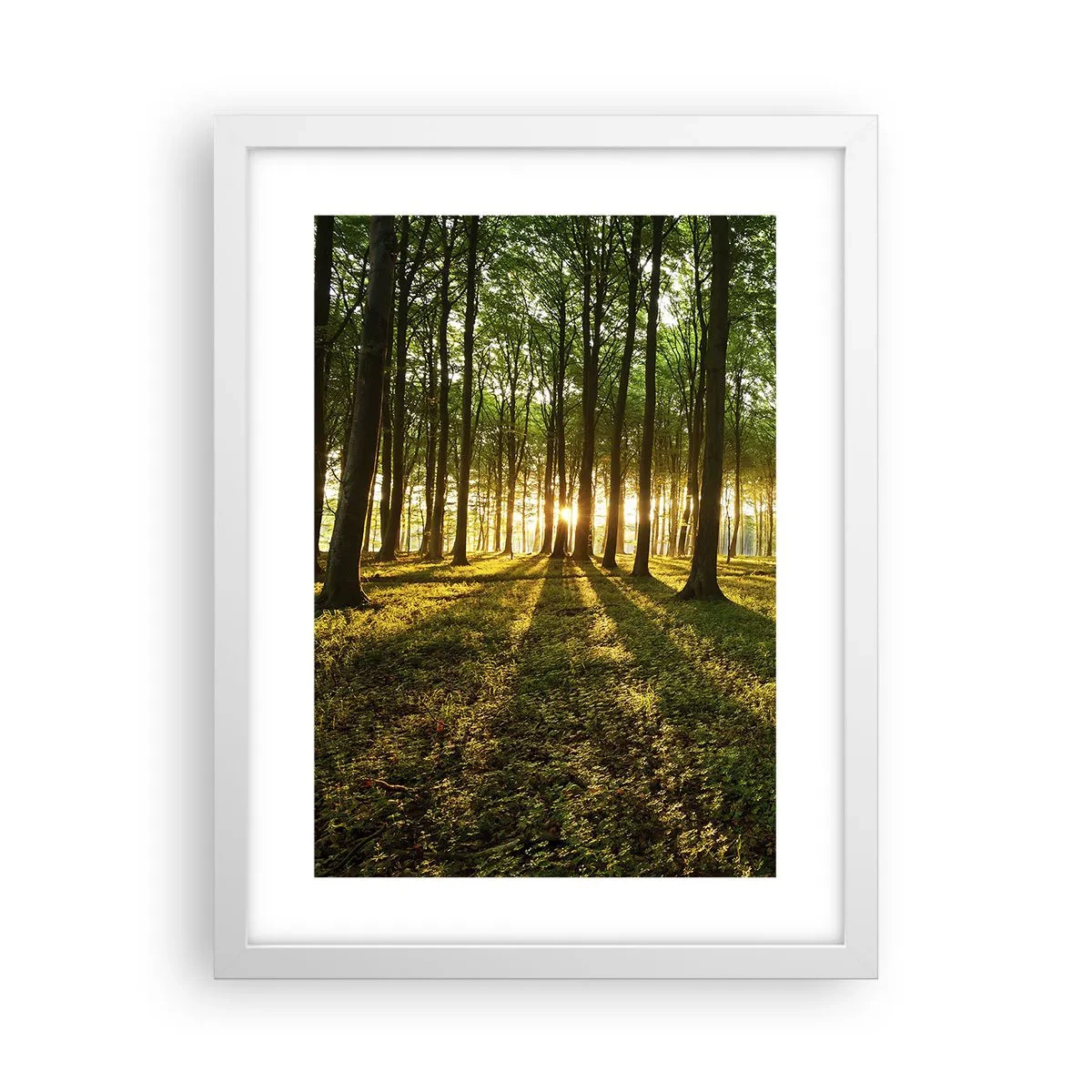 Poster in white frmae - Photography of All Springs - 30x40 cm