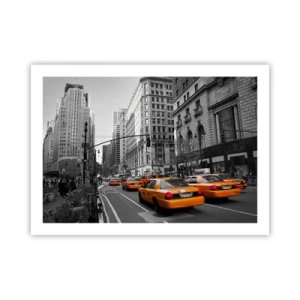Poster - Suns of a Big City - 70x50 cm