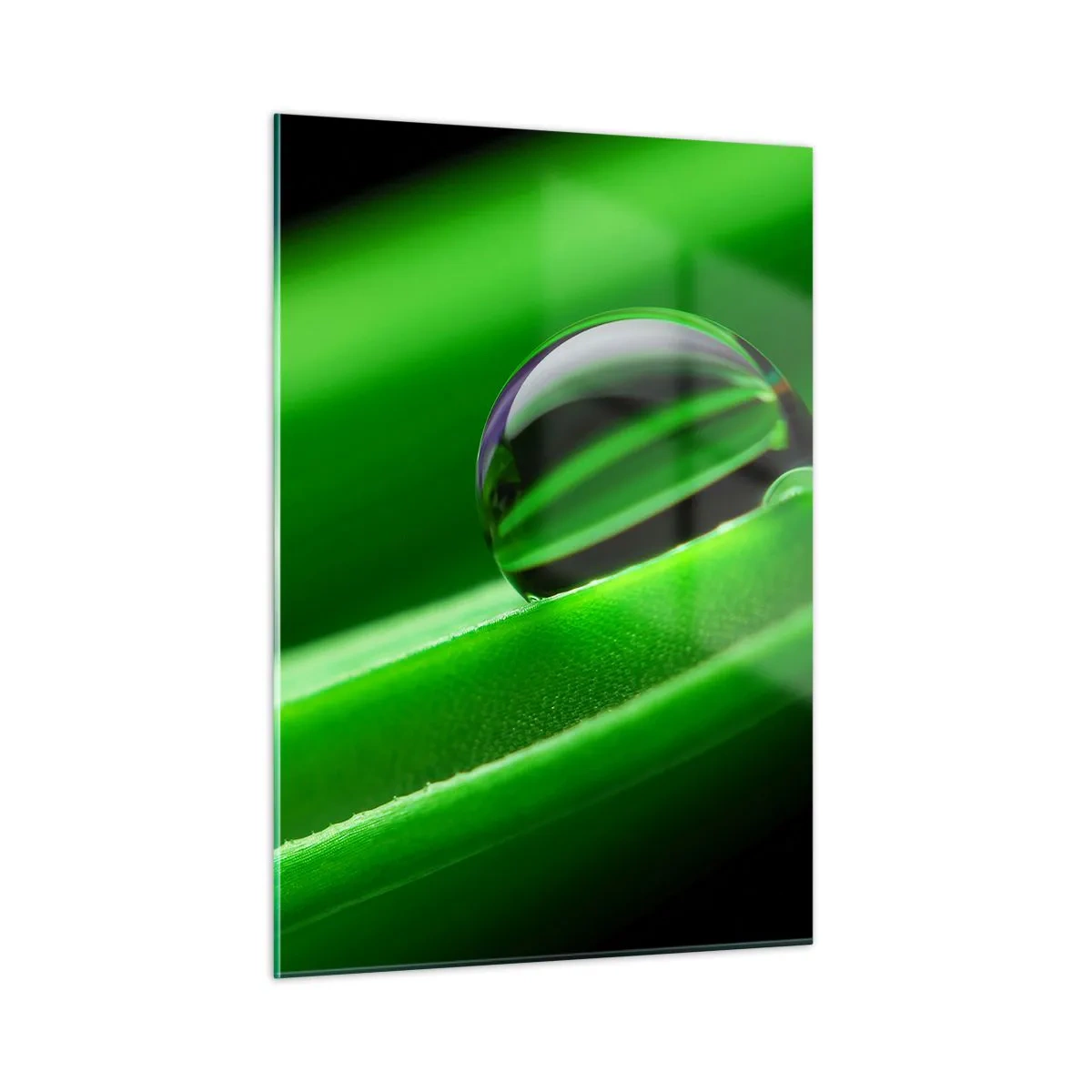 Glass picture - Life from a Close-Up - 50x70 cm