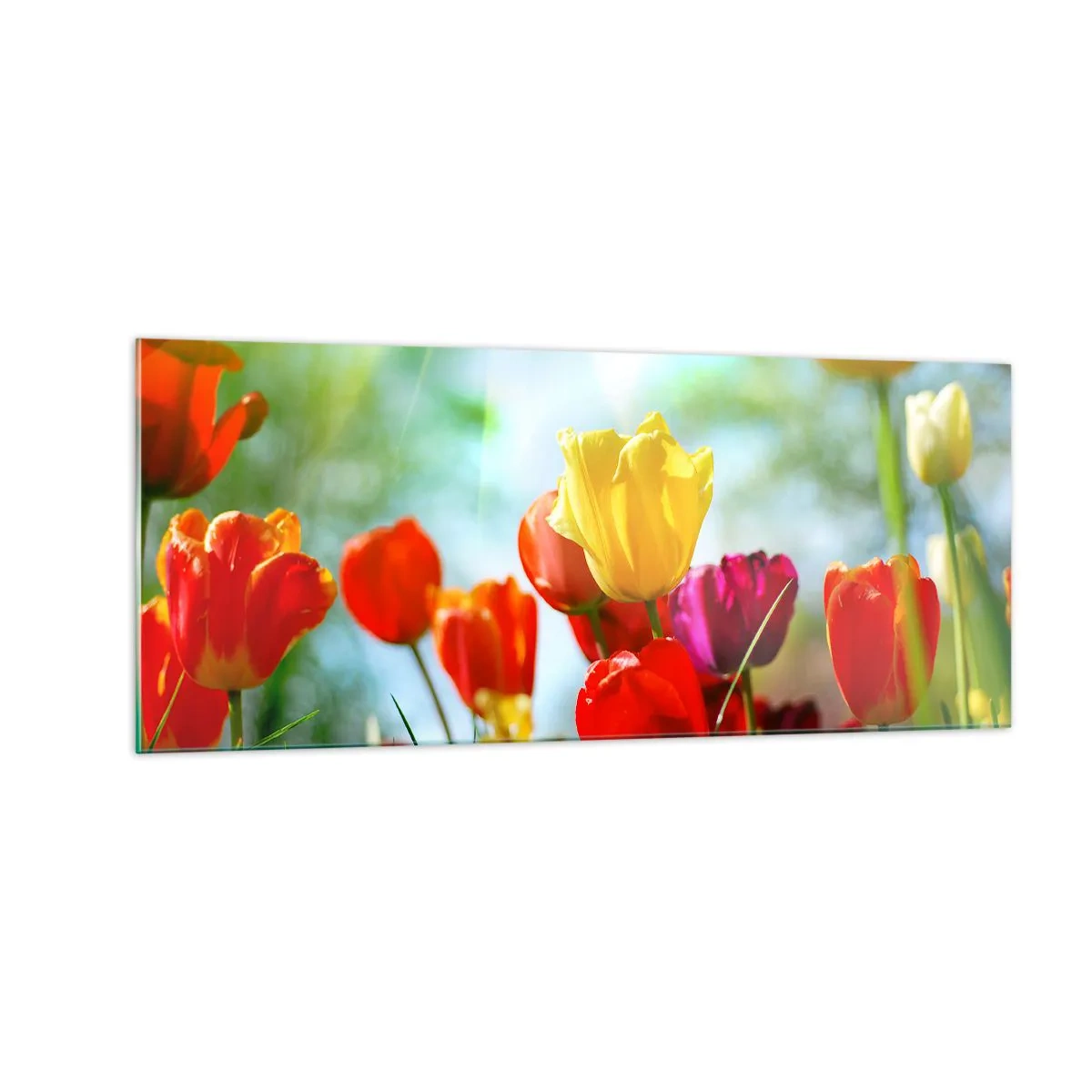 Glass picture - All Colours of the Sun - 100x40 cm