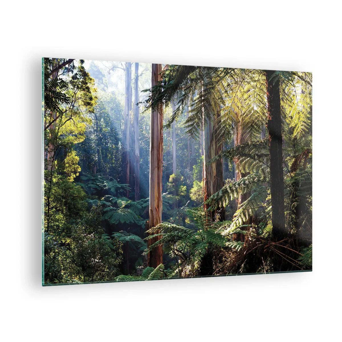 Glass picture - Green tropical forest with sun rays - 70x50cm - Tale of a Forest - Modern wall decoration for the living room and bedroom ARTTOR