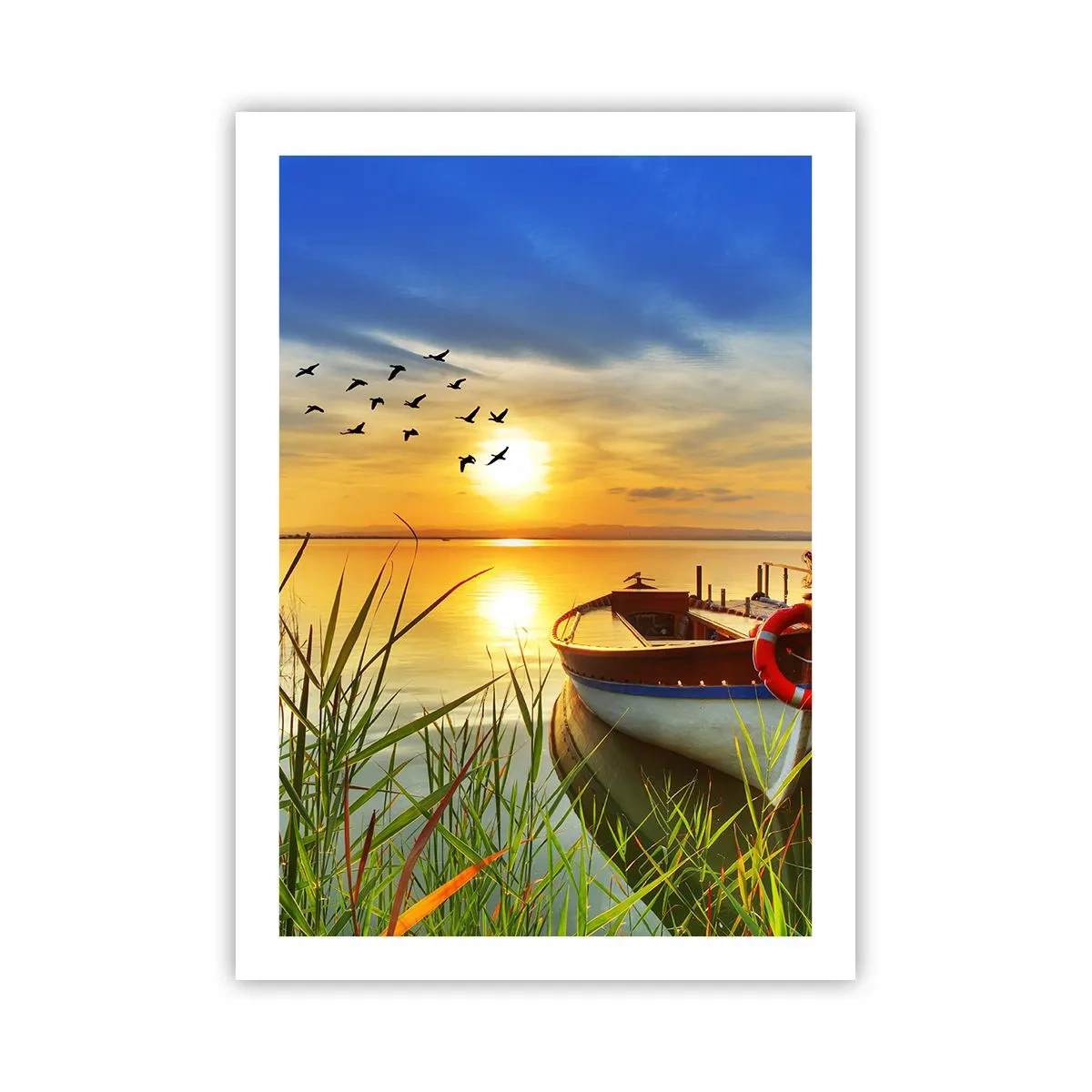 Poster - Cormorants Are Flying Away - 50x70 cm