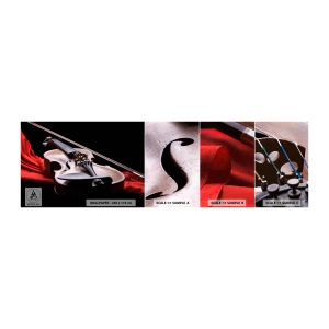 Photo Wallpaper Sample Standard Eco - Music of Feelings - Music, Violin, A musical instrument - 100x30 cm