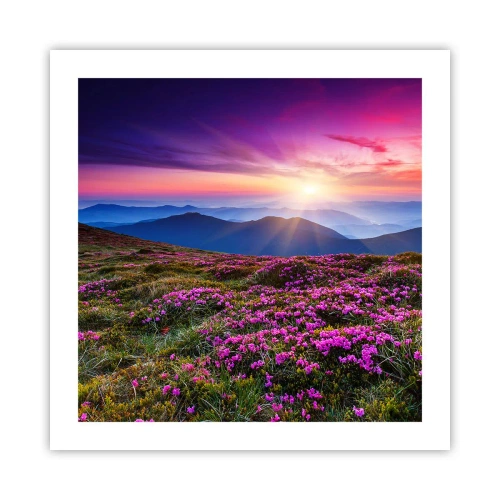 Poster - Smells Strongly of Herbs - 50x50 cm