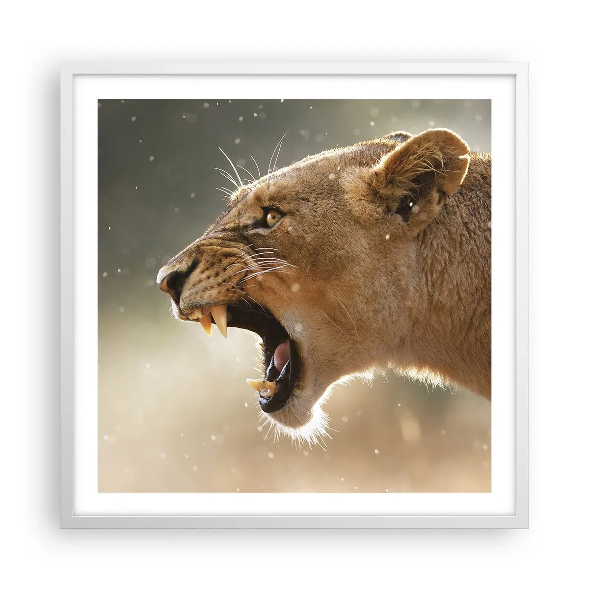 Poster in white frmae - Try Not to Listen - 60x60 cm