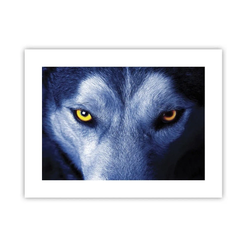 Poster - Mesmerising Look - 40x30 cm