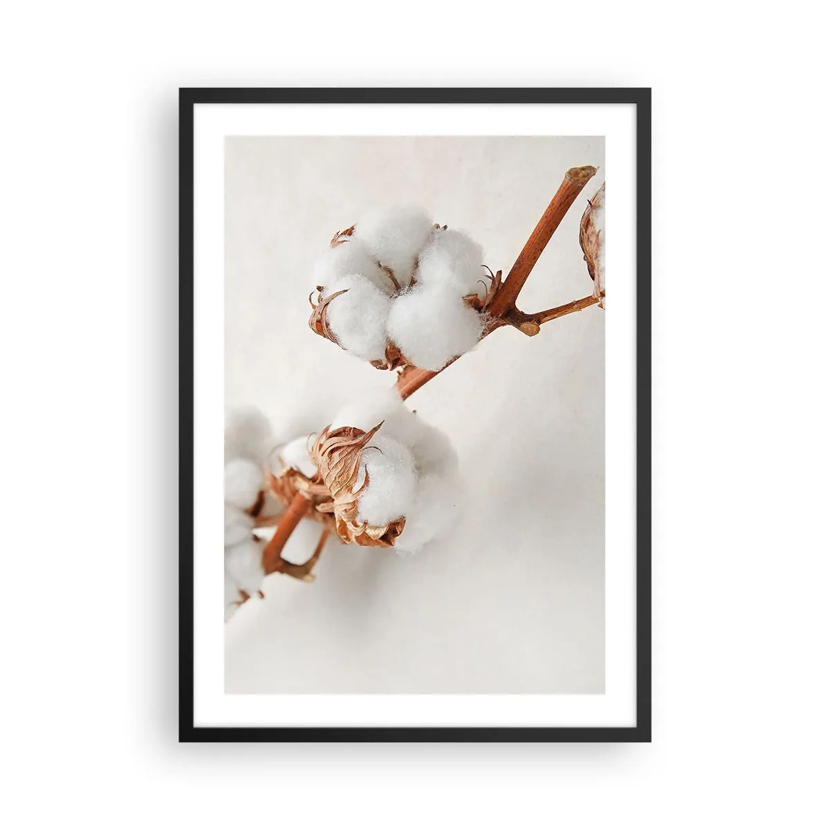Poster in black frame - Delicate cotton twigs on a light background - 50x70cm - Just Cuddle It - Modern wall decoration for the living room and bedroom ARTTOR