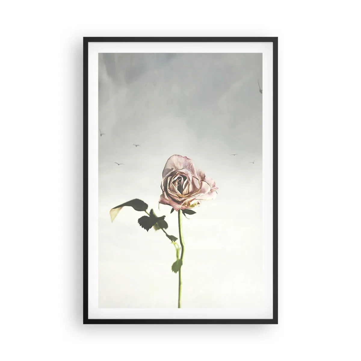 Poster in black frame - Welcoming of Spring - 61x91 cm