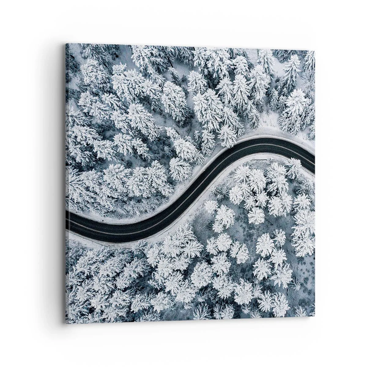 Canvas picture - Through Wintery Forest - 70x70 cm