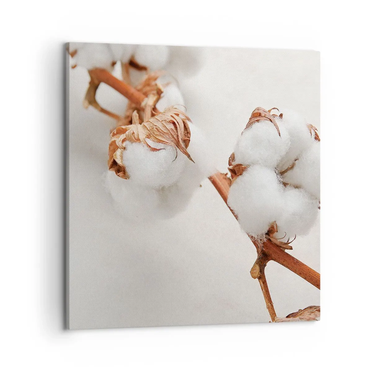 Canvas picture - Just Cuddle It - 50x50 cm