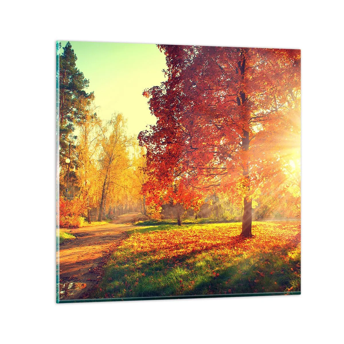 Glass picture - Ginger Is Beautiful - 50x50 cm