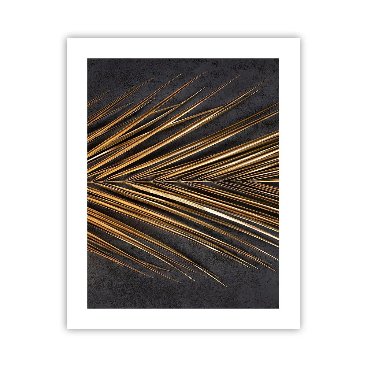 Poster - Gold of the Tropics - 40x50 cm
