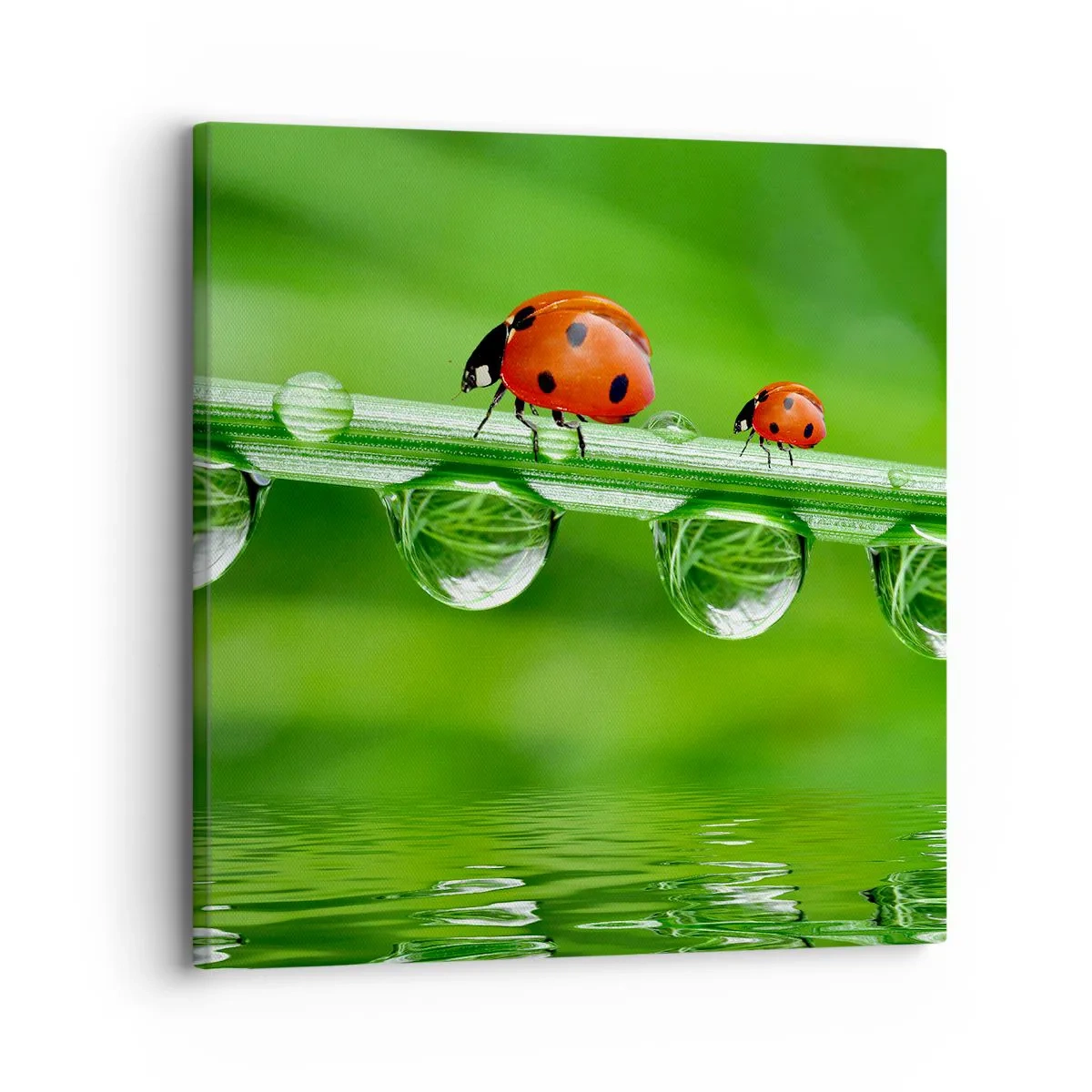 Canvas picture - Summer Is on Its Way - 30x30 cm