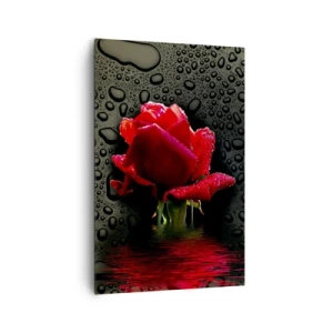 Canvas picture - Red and Black - 80x120 cm