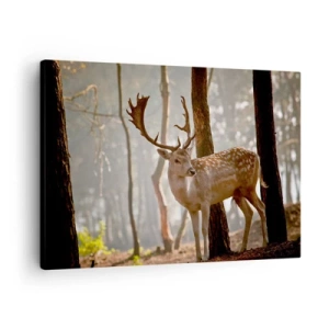 Canvas picture - Deer in the forest in the morning fog - 70x50cm - Light of Youth - Modern wall decoration for the living room and bedroom ARTTOR