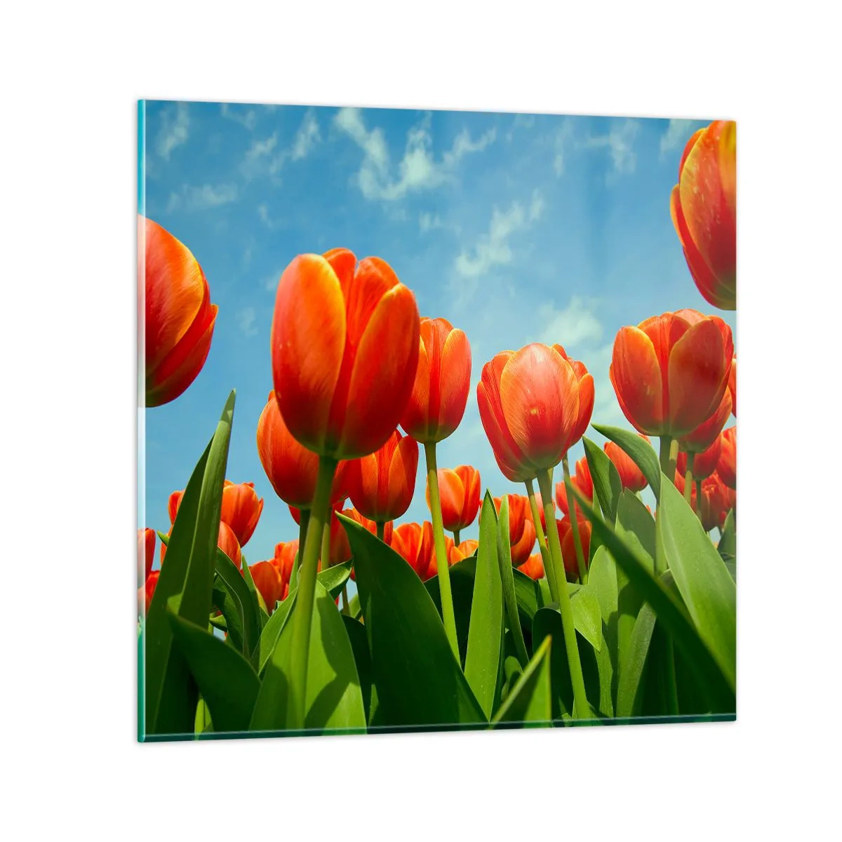 Glass picture - Blue Sky Is All They Need - 40x40 cm