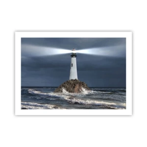 Poster - Here…Here…Here! - 70x50 cm