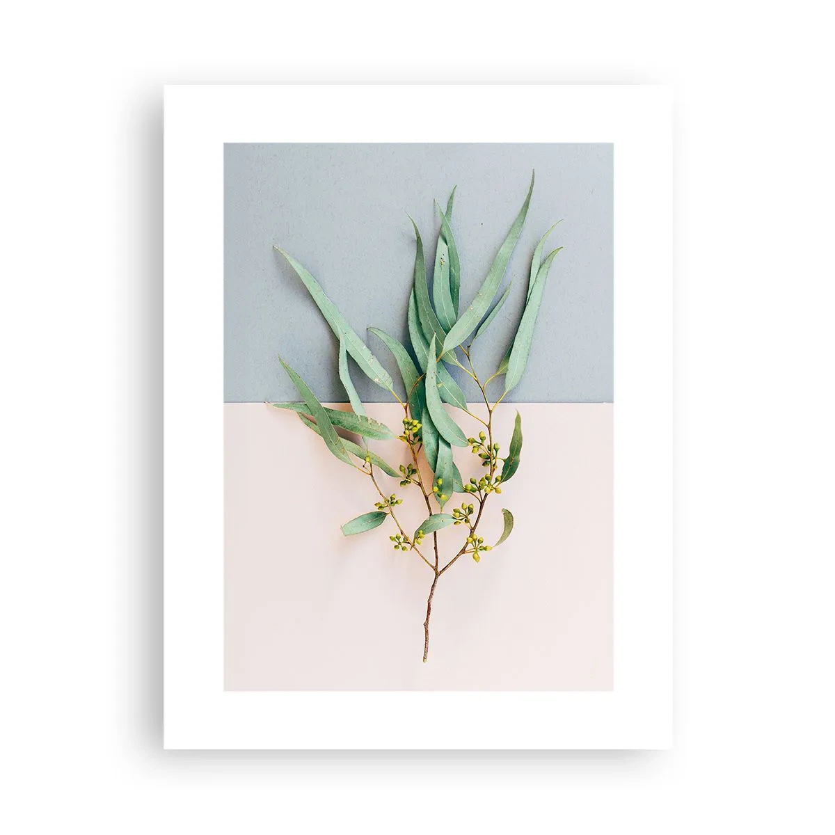 Poster - Pastel Subtlety - 30x40 cm