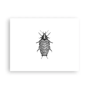 Poster - What a Specimen - 40x30 cm