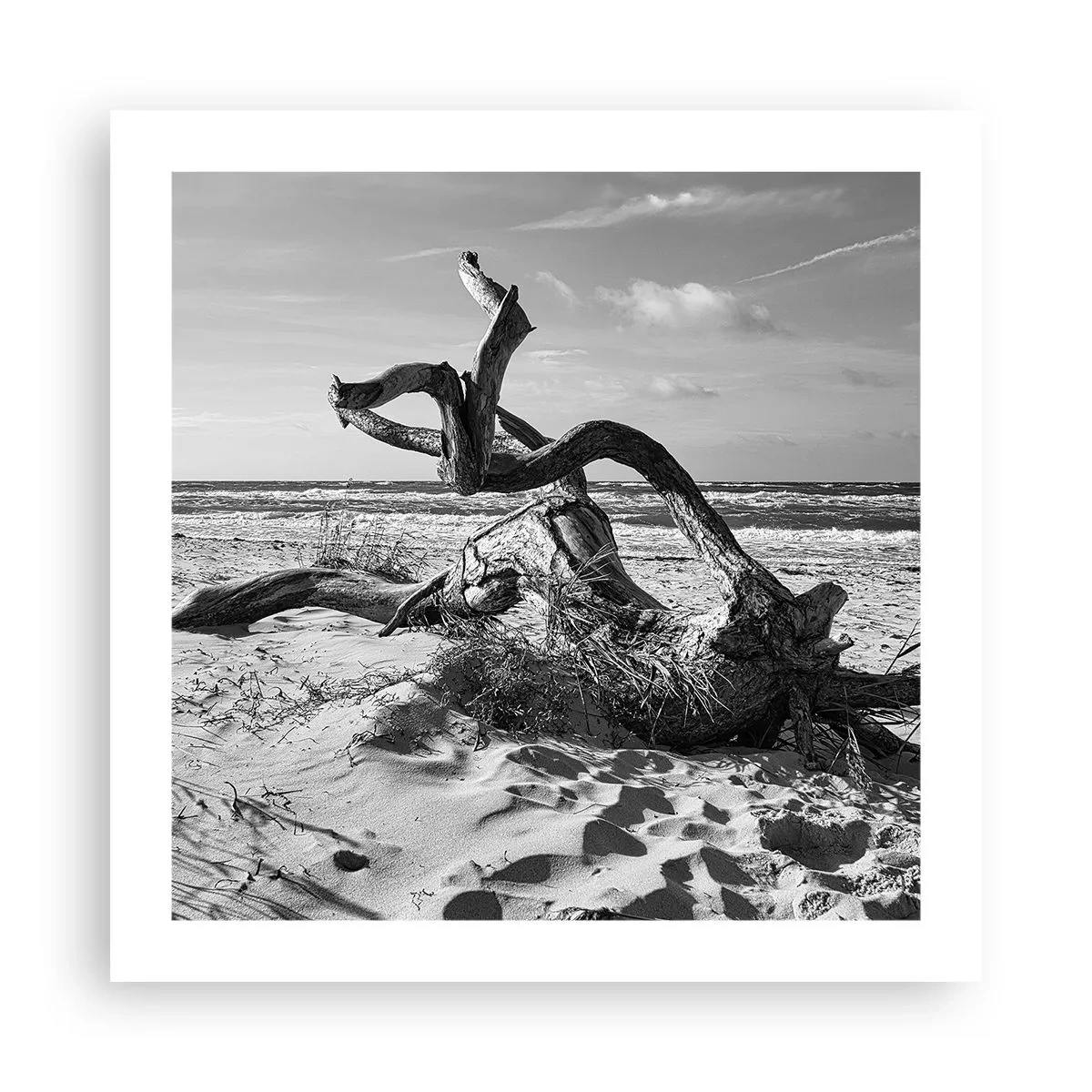 Poster - Seaside Sculpture - 50x50 cm