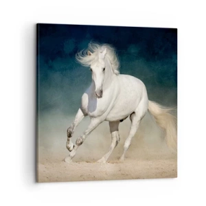 Canvas picture - Freedom in a Pure State - 60x60 cm