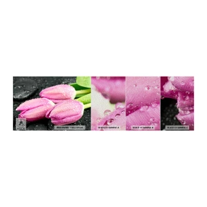 Photo Wallpaper Sample Premium Sand - Three Lilacs on a Black Stone - Flowers, Tulips, Bouquet of flowers - 100x30 cm