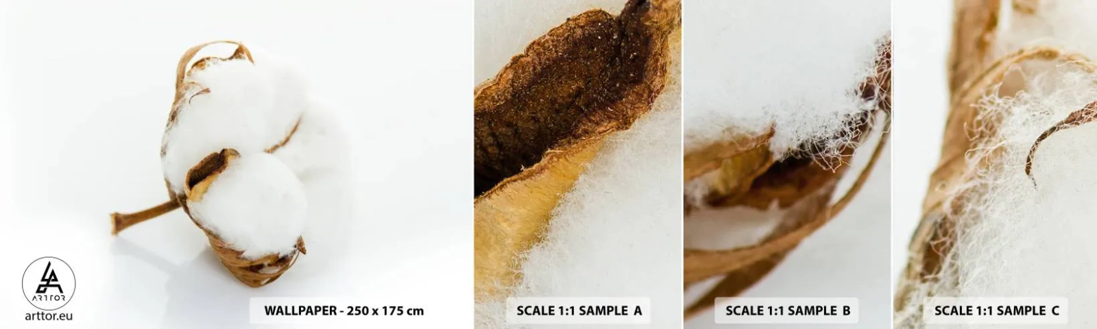 Photo Wallpaper Sample Self-Adhesive Deluxe Sticker - Soft By Nature - Cotton, Minimalistic, Flower - 100x30 cm