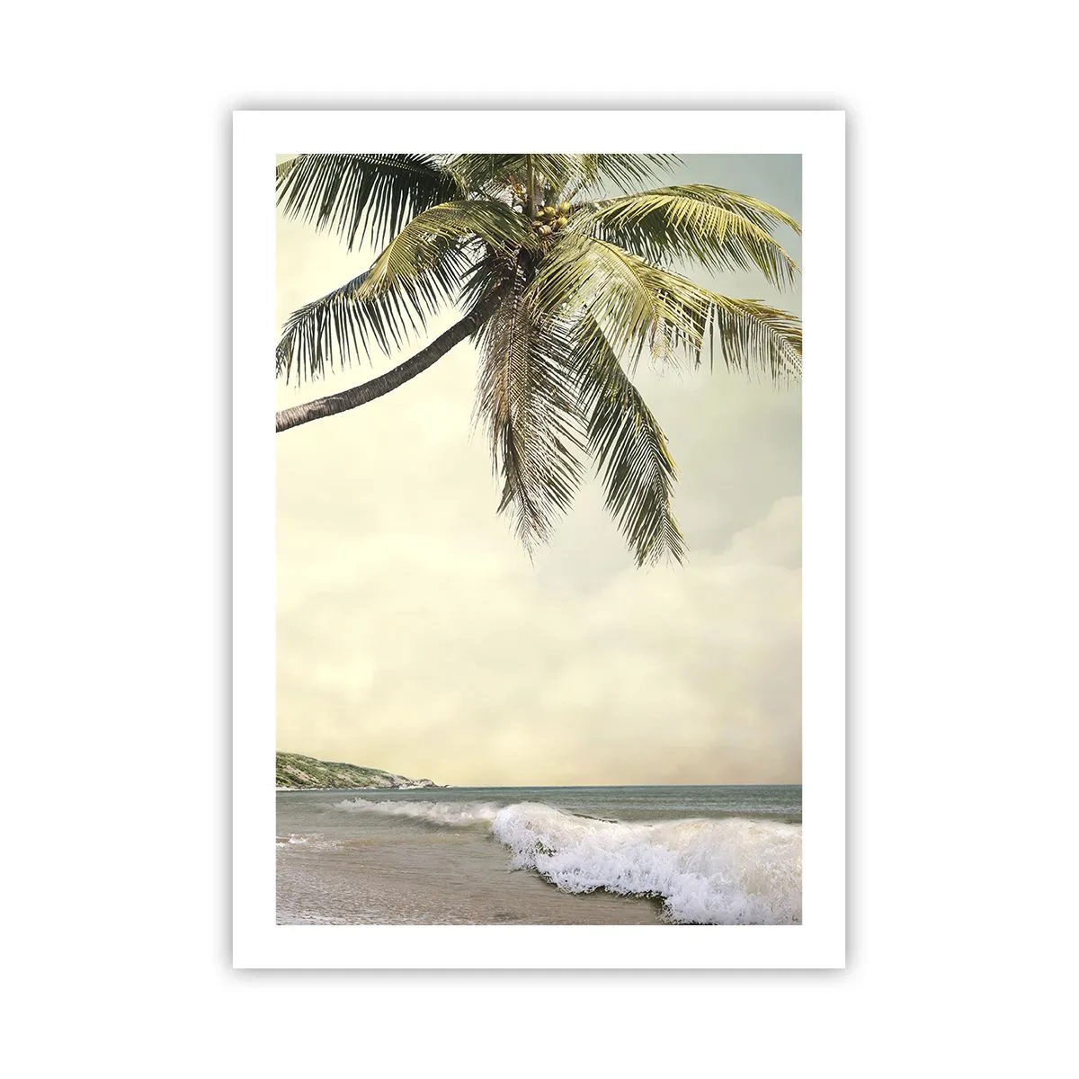 Poster - Tropical Dream - 50x70 cm