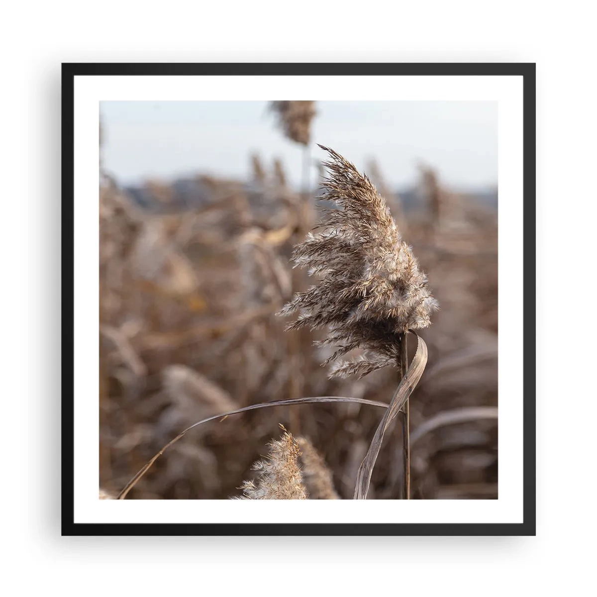 Poster in black frame - Time to Fly with the Wind - 60x60 cm