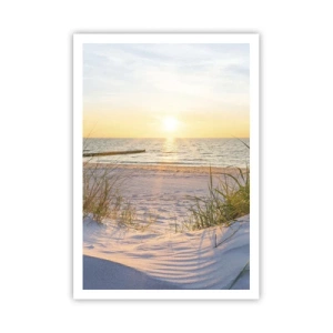 Poster - Sound of the Sea, Singing of the Birds, Wild Beach among Grass - 70x100 cm