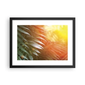 Poster in black frame - Morning in the Jungle - 40x30 cm