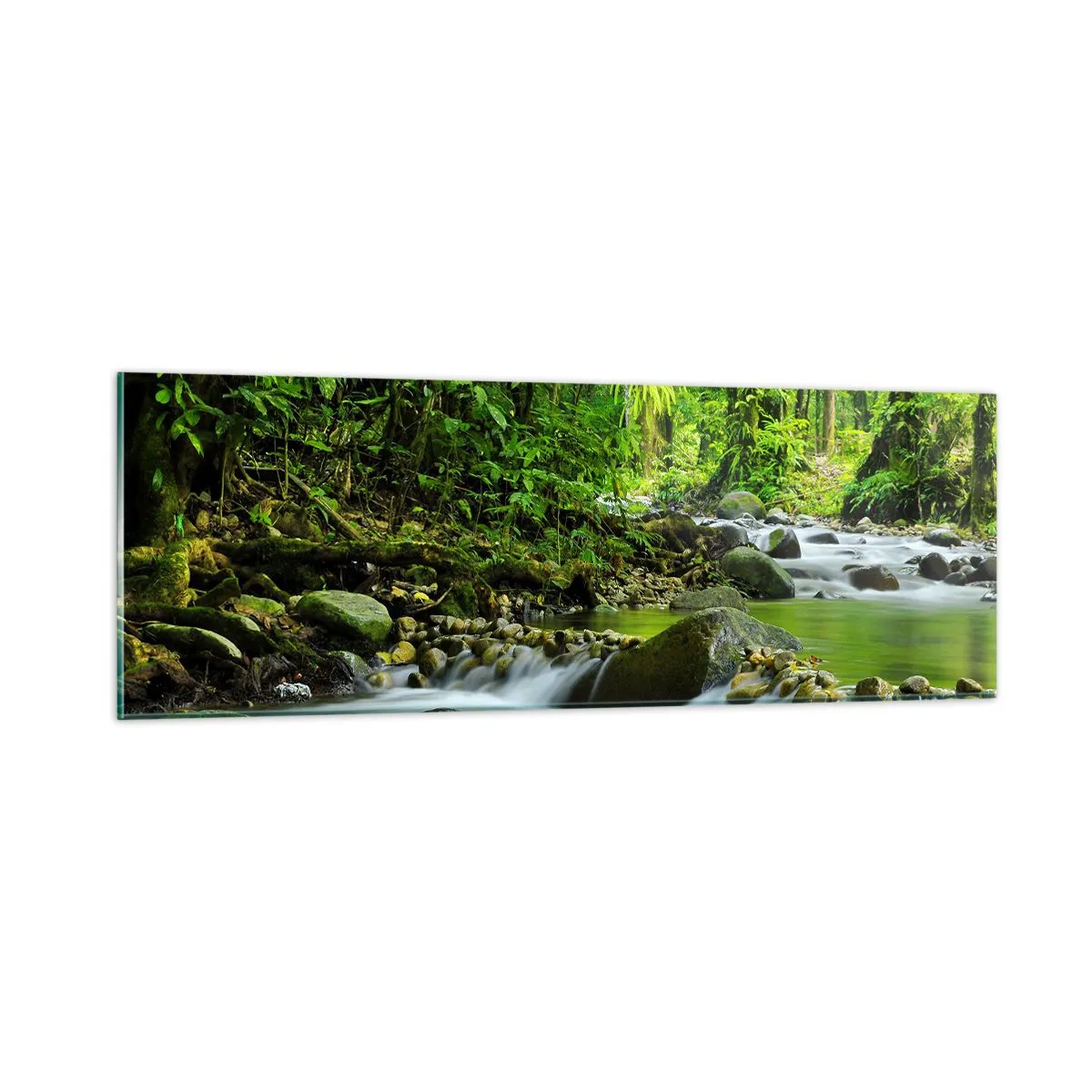 Glass picture - Swimming in the Sea of Green - 90x30 cm