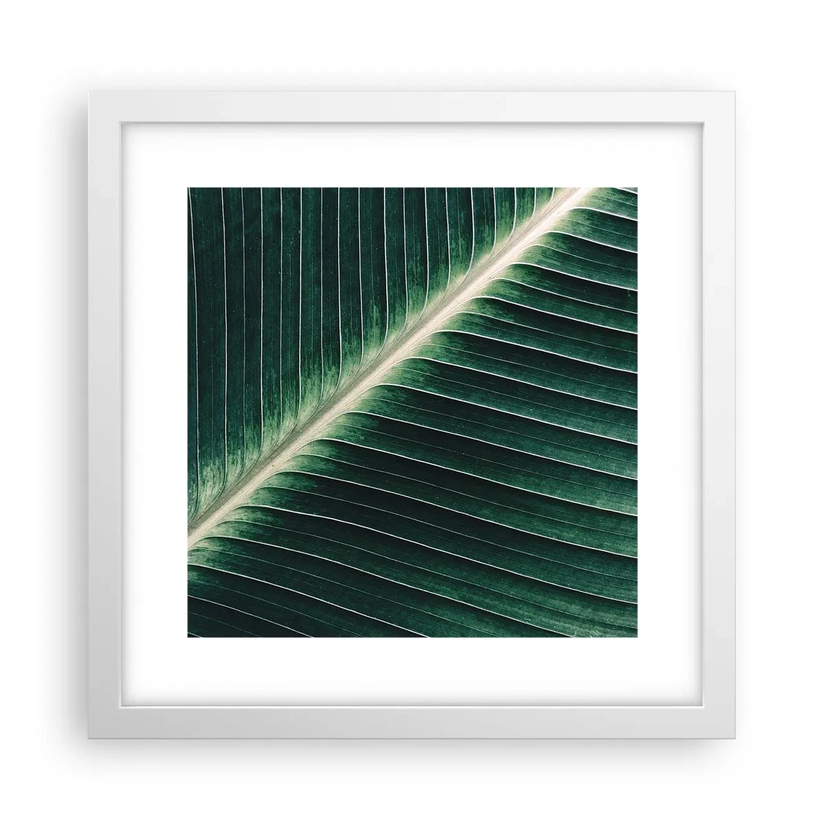 Poster in white frmae - Rhythm of Nature - 30x30 cm