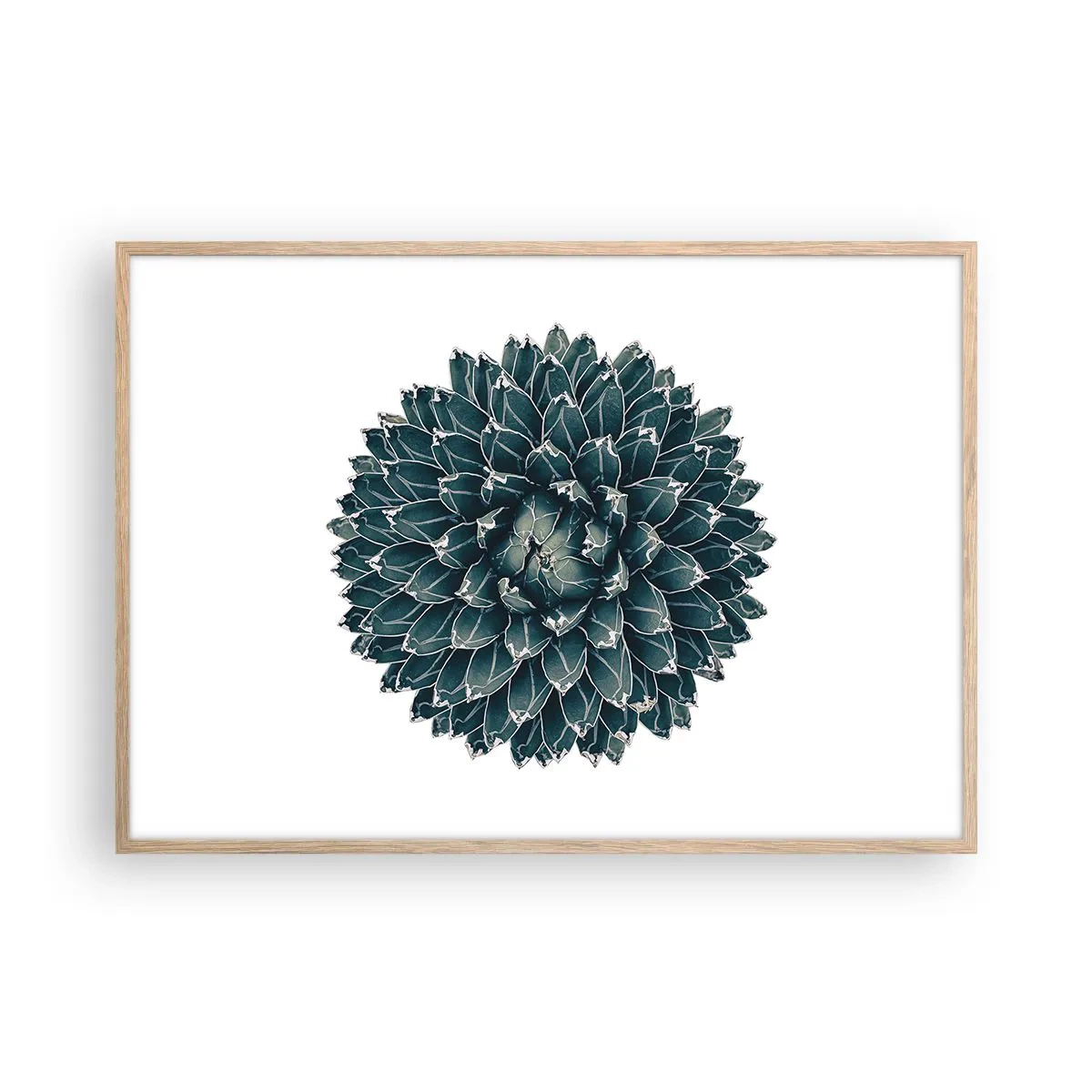 Poster in light oak frame - Star of the Desert - 100x70 cm
