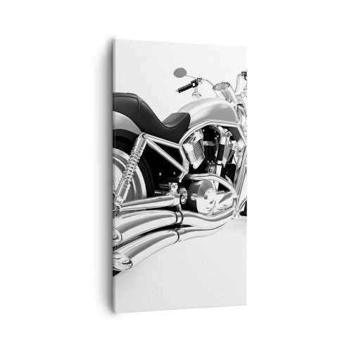 Canvas picture - Collector's Dream - 55x100 cm